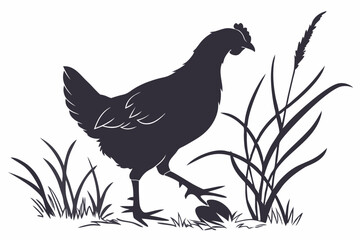 Clean Chicken Silhouette on White Background