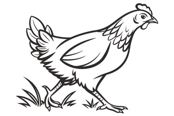 Obraz premium Elegant Hen Outline for Design Use