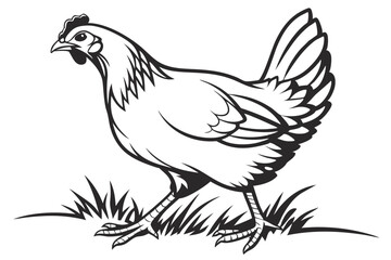 Hen Silhouette Vector on White