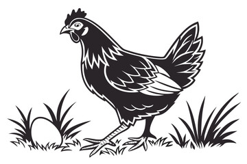 Chicken black icon on white background. Rooster silhouette