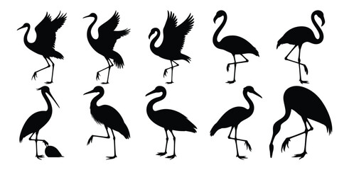 Obraz premium Silhouette collection of elegant birds including herons, cranes, and flamingos in various poses, movements, and flying positions on white