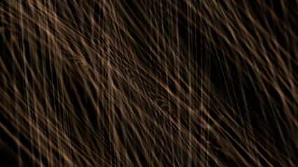 Brown light streaks overlay a dark background, suggesting movement and abstract beauty.
