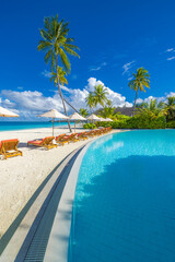 Luxury beach resort pool lounge chairs umbrella on white sand, closeup of palm trees under sunny blue sky, peaceful tropical sea view perfect for summer vacation, leisure, and relaxation calmness