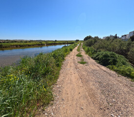 Rural road in Ria Formosa Natural Park in Fuseta, Algarve. Portugal