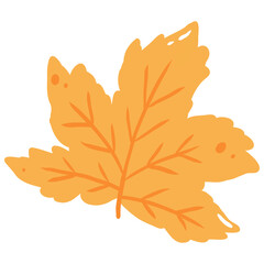Obraz premium fall autumn
