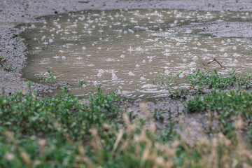 Rippled water surface during rain