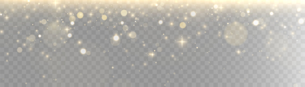 Gold dust light bokeh. Christmas glowing bokeh and glitter overlay texture for your design on a transparent background. Golden particles abstract vector background.	
