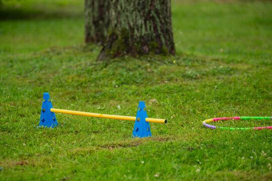 colorful kids obstacle course in green grassy park, blue cones and yellow bar with hula hoop for outdoor physical activity, children's playground training setup on lawn with large tree in background
