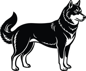 Siberian Husky Dog Vector Art