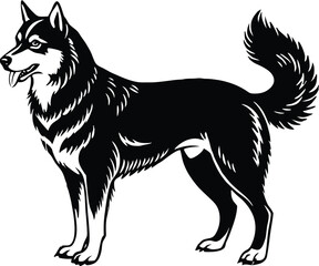 Siberian Husky Dog Vector Art