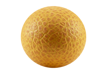 Golden Textured Sphere Abstract Art Photography,  Unique Design Element, Stock Image
