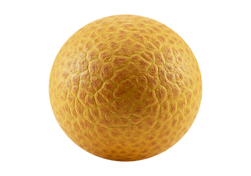 Golden Textured Sphere Abstract Art Photography,  Unique Design Element, Stock Image