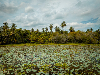 Bird’s-Eye View of Natural Sri Lankan Terrain and Habitats


