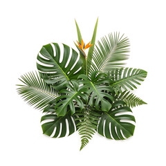 Tropical leaves and flowers arrangement