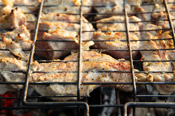 Grilled pieces of marinated meat sizzling on a metal barbecue grate, golden brown and juicy, perfect for summer picnic, outdoor cooking, and backyard gatherings.