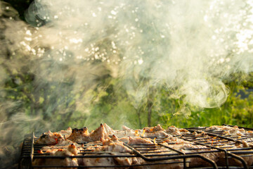 Grilled shashlik meat roasting on a grill over smoke, with green foliage background, evoking weekend relaxation, outdoor cooking, and countryside leisure.