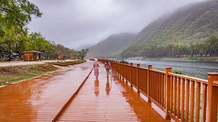 beautiful green landscape of salalah in oman during a khareef season