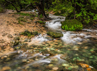 beautiful green landscape of salalah in oman during a khareef season