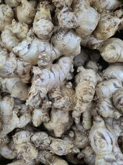  bunch of fresh ginger pictured from top