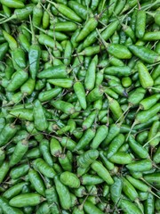 Small green chillies pictured from top