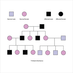 Y-Linked Inheritance Pedigree Chart