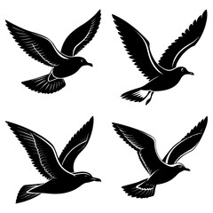 Four stylized birds in black and white with different wing markings and body positions displayed