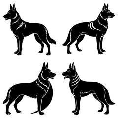 Four black silhouette illustrations of a german shepherd dog in various standing poses on a white background