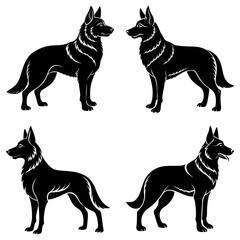 Four black silhouette illustrations of a german shepherd dog in various standing positions on a white background