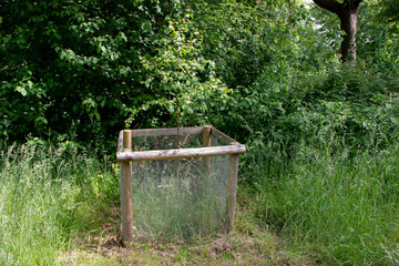 Protective wooden structure with mesh surrounding a young tree, designed to safeguard it from...