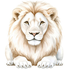 Majestic Lion Illustration: A close-up, captivating illustration of a regal lion with pristine white fur, showcasing its noble gaze and detailed mane in a watercolor style.