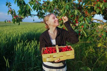 Close-up of cheerful woman holding basket full of juicy red cherries