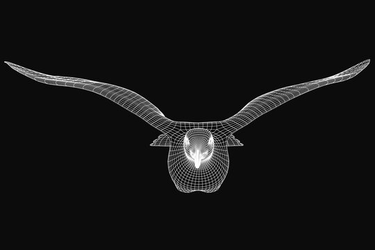 A detailed 3D wireframe model of a birdl with large curved horns, isolated on a black background for a striking visual effect. The realistic rendering highlights intricate structure