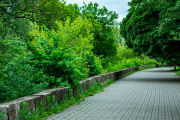 Walking path in the park.