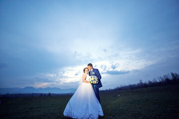 A bride and groom are standing in a field with a cloudy sky above them