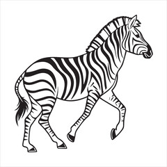plain zebra vector illustration