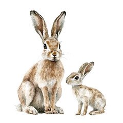 A Mother Hare With Her Kid, watercolor vector, isolated on a white background.