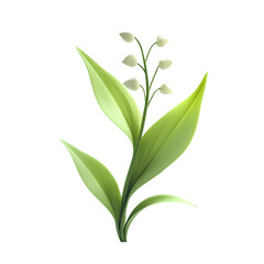 Obraz premium Delicate illustration of a lily of the valley flower.