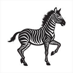 plain zebra vector illustration