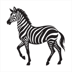 plain zebra vector illustration