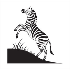plain zebra vector illustration
