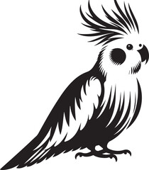 Cockatiel Parrot Vector
