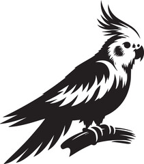 Cockatiel Parrot Vector