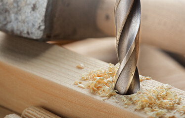 hole in wooden oak board for wooden dowel. carpentry industry.