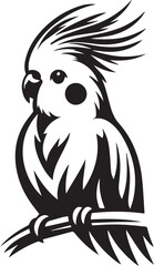 Cockatiel Parrot Vector