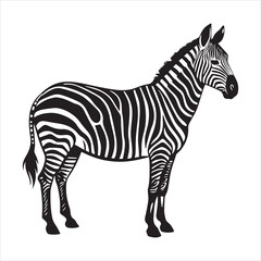 plain zebra vector illustration