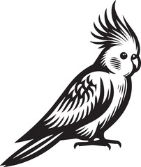 Cockatiel Parrot Vector