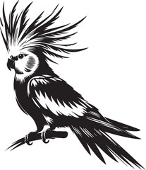 Cockatiel Parrot Vector