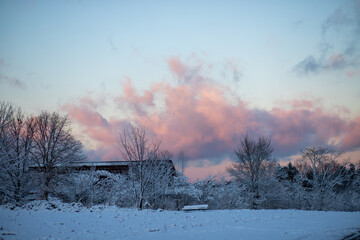 Beautiful sunset. Forest under snow a the winter time at Black Forest, Germany
