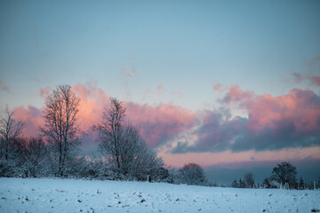 Beautiful sunset. Forest under snow a the winter time at Black Forest, Germany