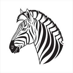 plain zebra vector illustration